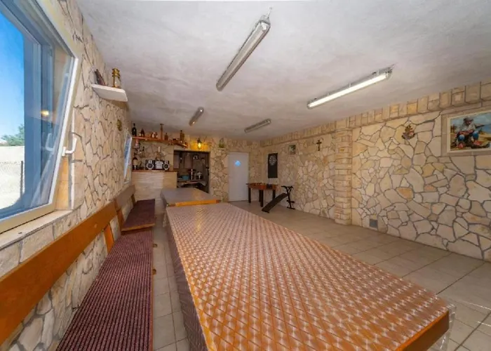 My Dalmatia - Dada 1 * Biograd Na Moru