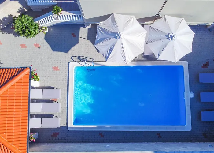 My Dalmatia - Dada 1 * Biograd Na Moru